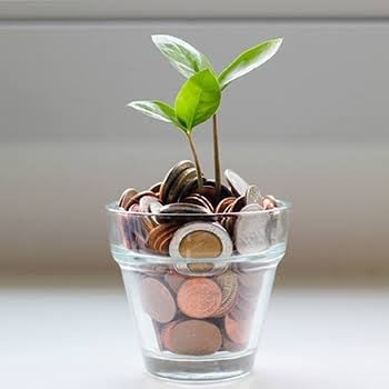 A small green seedling sprouting from a glass cup filled with coins and soil